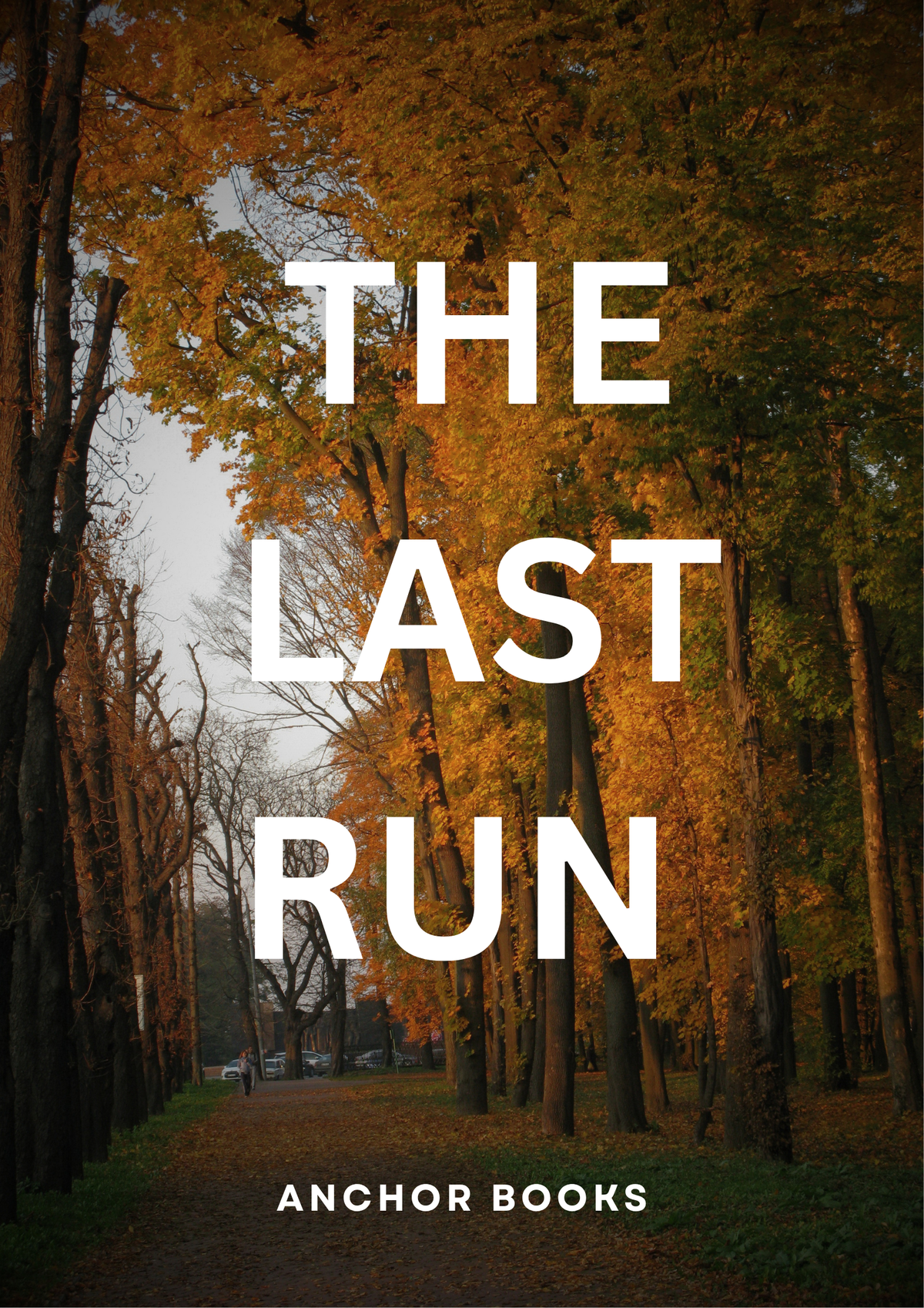 The Last Run