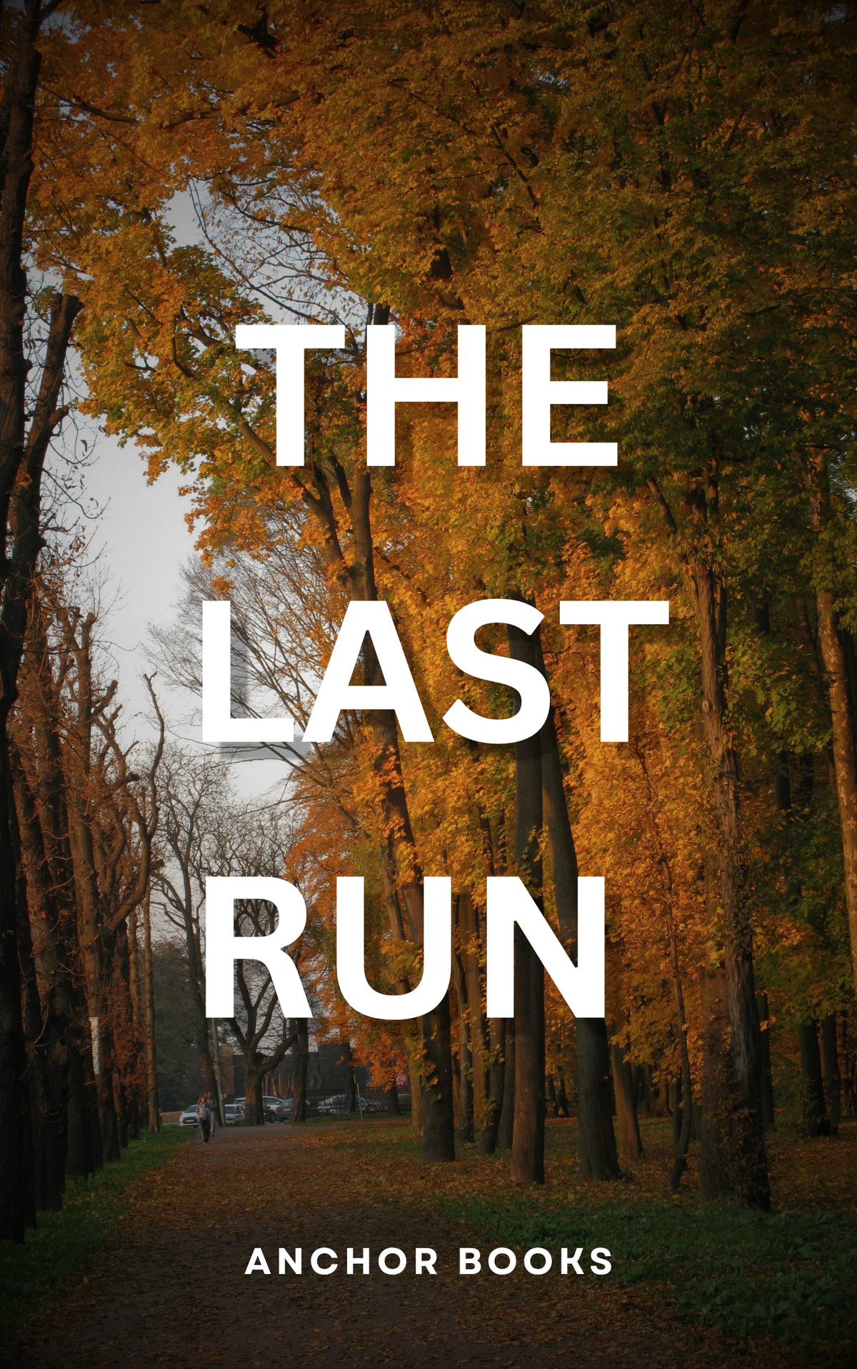 The Last Run